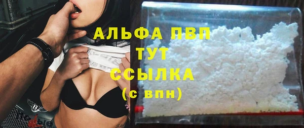 прущие грибы Заволжье
