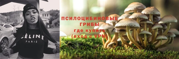 PSILOCYBIN Заволжск