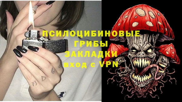 мдма Заводоуковск