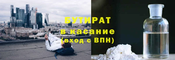 прущие грибы Заволжье