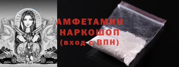 прущие грибы Заволжье