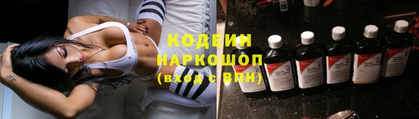 прущие грибы Заволжье