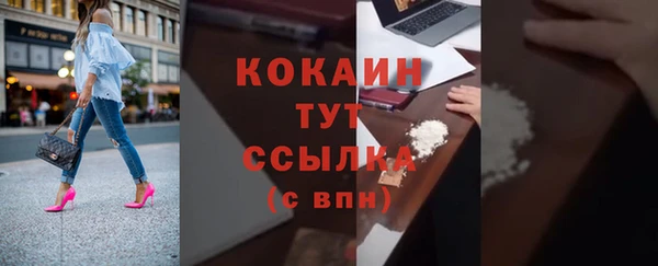 прущие грибы Заволжье