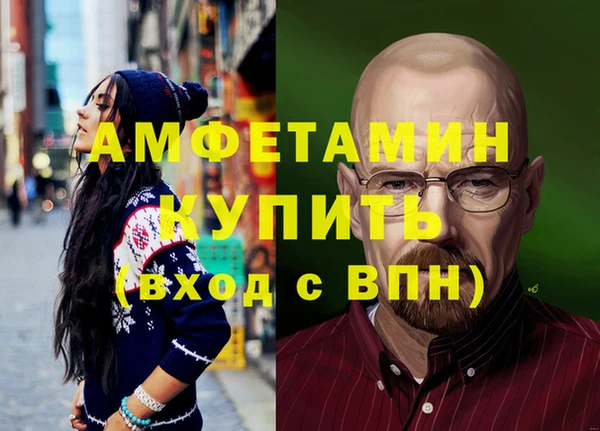 прущие грибы Заволжье