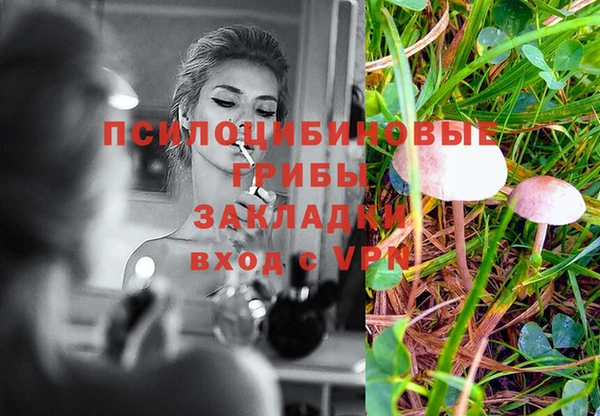 прущие грибы Заволжье