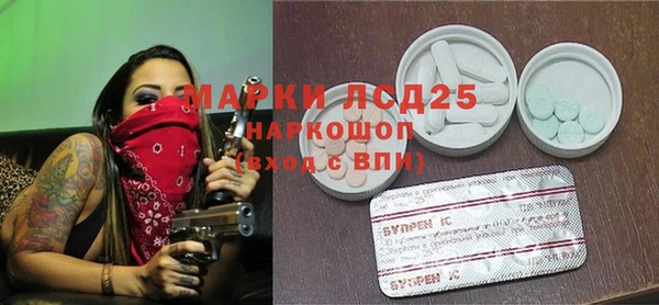 PSILOCYBIN Заволжск