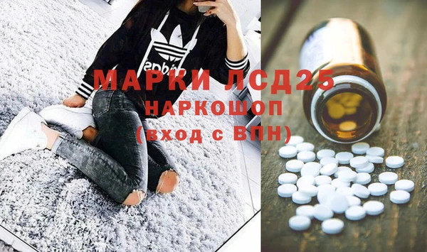 прущие грибы Заволжье