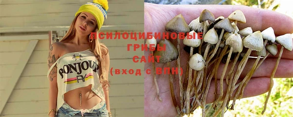 PSILOCYBIN Заволжск