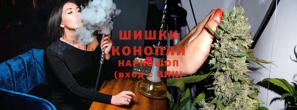 прущие грибы Заволжье
