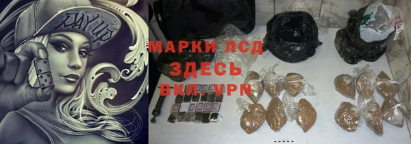 прущие грибы Заволжье